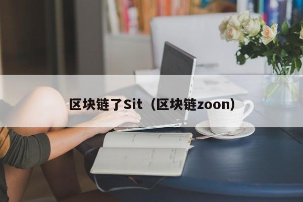 区块链了Sit（区块链zoon）