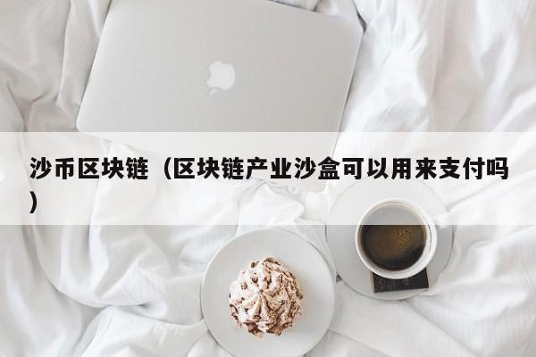 沙币区块链（区块链产业沙盒可以用来支付吗）
