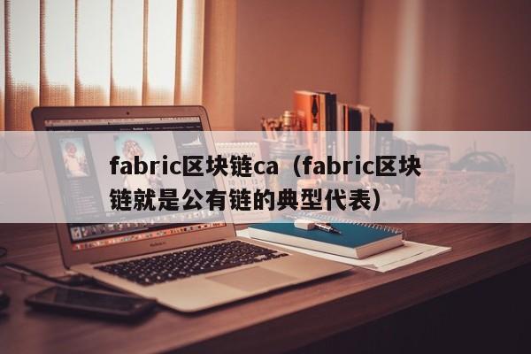 fabric区块链ca（fabric区块链就是公有链的典型代表）