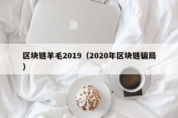 区块链羊毛2019（2020年区块链骗局）