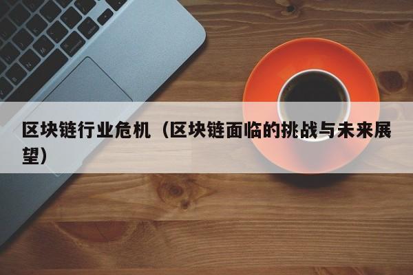 区块链行业危机（区块链面临的挑战与未来展望）