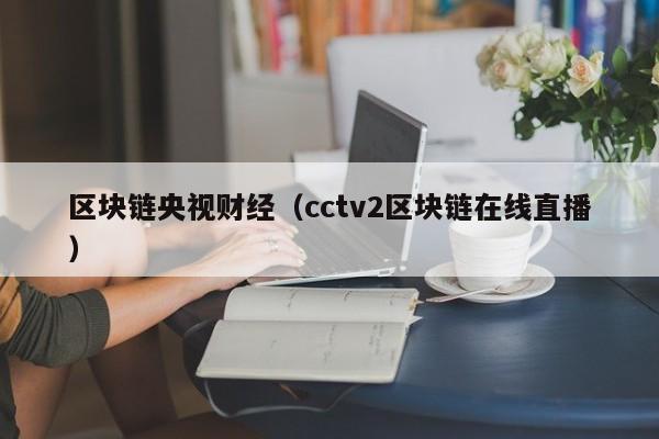 区块链央视财经（cctv2区块链在线直播）