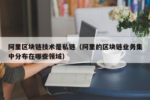 阿里区块链技术是私链（阿里的区块链业务集中分布在哪些领域）