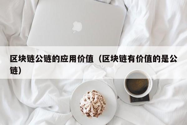 区块链公链的应用价值（区块链有价值的是公链）
