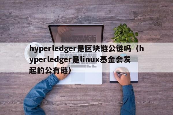 hyperledger是区块链公链吗（hyperledger是linux基金会发起的公有链）