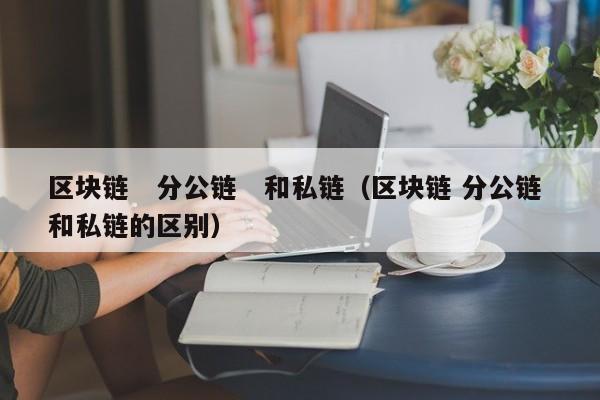 区块链　分公链　和私链（区块链 分公链 和私链的区别）
