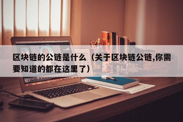 区块链的公链是什么（关于区块链公链,你需要知道的都在这里了）