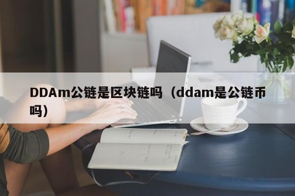 DDAm公链是区块链吗（ddam是公链币吗）