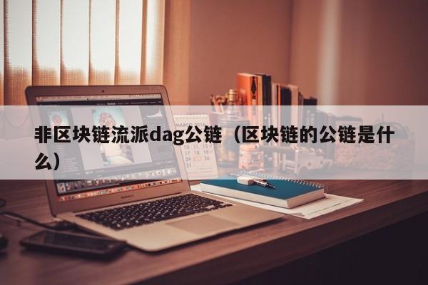 非区块链流派dag公链（区块链的公链是什么）