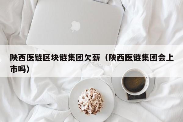 陕西医链区块链集团欠薪（陕西医链集团会上市吗）