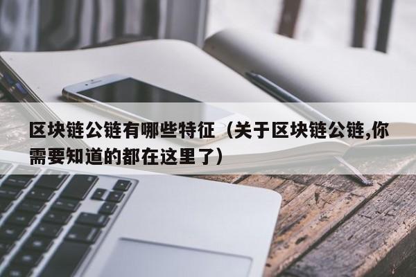 区块链公链有哪些特征（关于区块链公链,你需要知道的都在这里了）