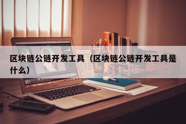 区块链公链开发工具（区块链公链开发工具是什么）