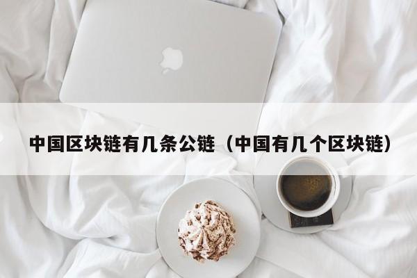 中国区块链有几条公链（中国有几个区块链）