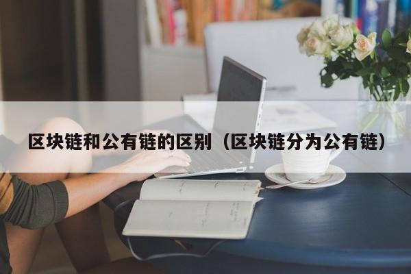 区块链和公有链的区别（区块链分为公有链）