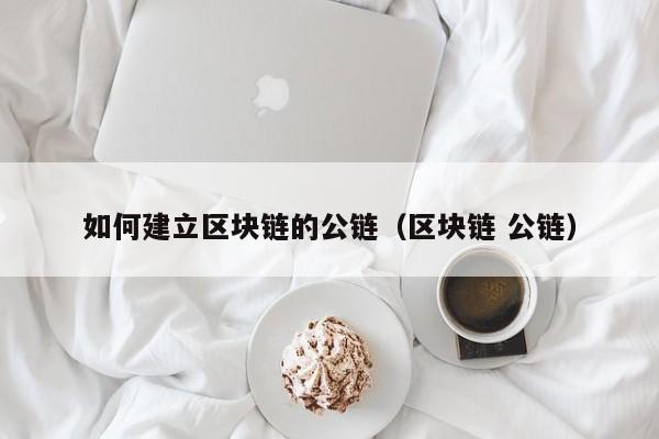 如何建立区块链的公链（区块链 公链）