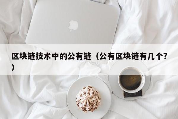 区块链技术中的公有链（公有区块链有几个?）
