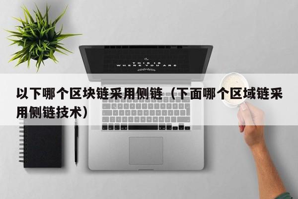 以下哪个区块链采用侧链（下面哪个区域链采用侧链技术）