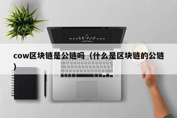 cow区块链是公链吗（什么是区块链的公链）