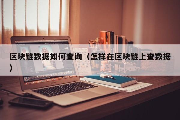 区块链数据如何查询（怎样在区块链上查数据）