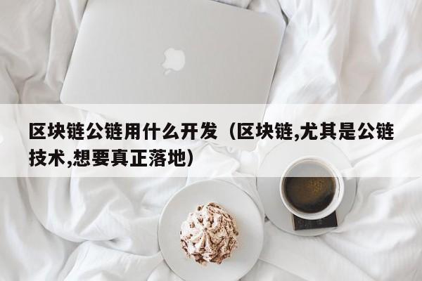 区块链公链用什么开发（区块链,尤其是公链技术,想要真正落地）
