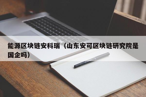 能源区块链安科瑞（山东安可区块链研究院是国企吗）