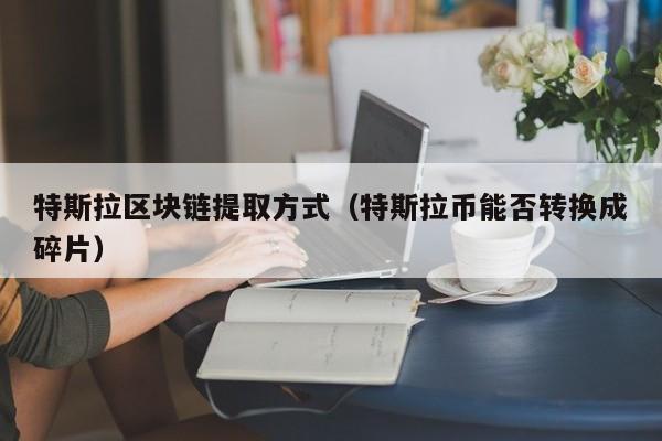 特斯拉区块链提取方式（特斯拉币能否转换成碎片）