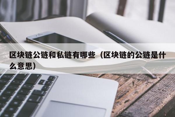 区块链公链和私链有哪些（区块链的公链是什么意思）