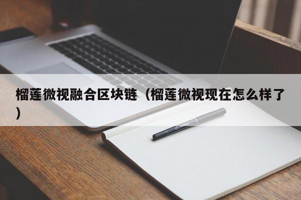 榴莲微视融合区块链（榴莲微视现在怎么样了）